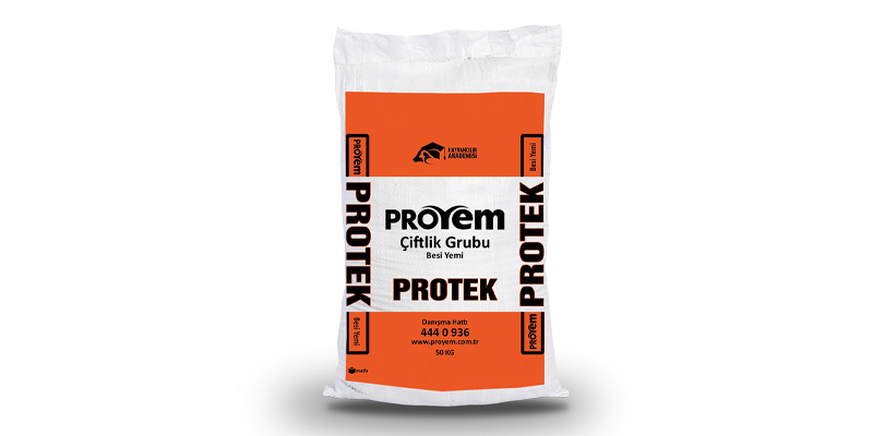 Protek Besi Yemi