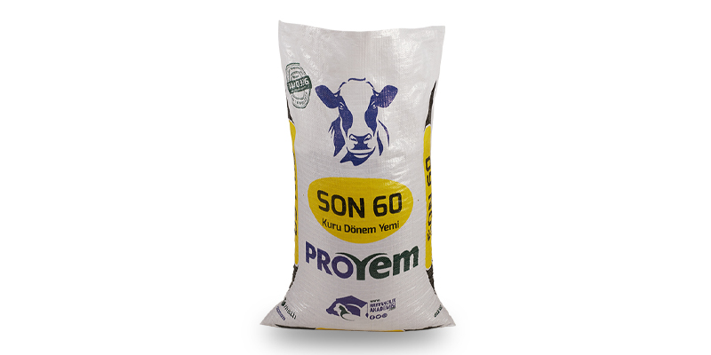 Son 60 Kuru Dönem Yemi